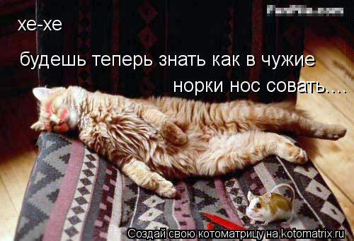 хе-хе будешь теперь знать как в чужие норки нос совать....... Котоматрица: хе-хе будешь теперь знать как в чужие норки нос совать....