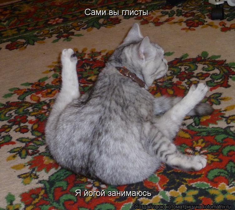 Сами вы глисты Я йогой занимаюсь... Котоматрица: Сами вы глисты Я йогой занимаюсь