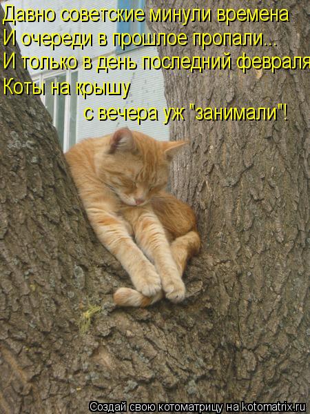 Давно советские минули времена И очереди в прошлое пропали... И только в день последний февраля Коты ... Котоматрица: Давно советские минули времена И очереди в прошлое пропали... И только в день последний февраля Коты на крышу с вечера уж "занимали"!