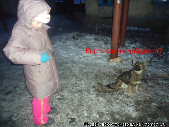 Косточки не найдётся?... Котоматрица: Косточки не найдётся?