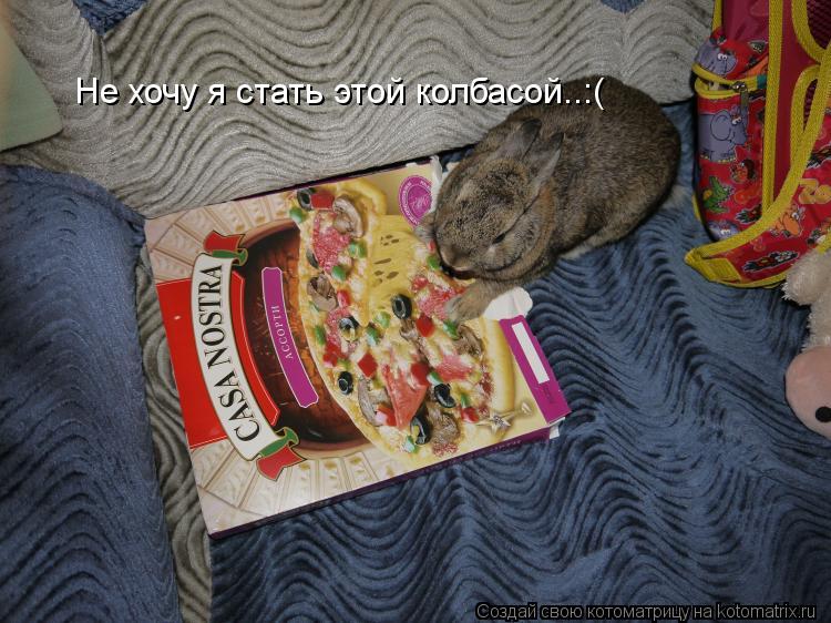 Не хочу я стать этой колбасой..:(... Котоматрица: Не хочу я стать этой колбасой..:(