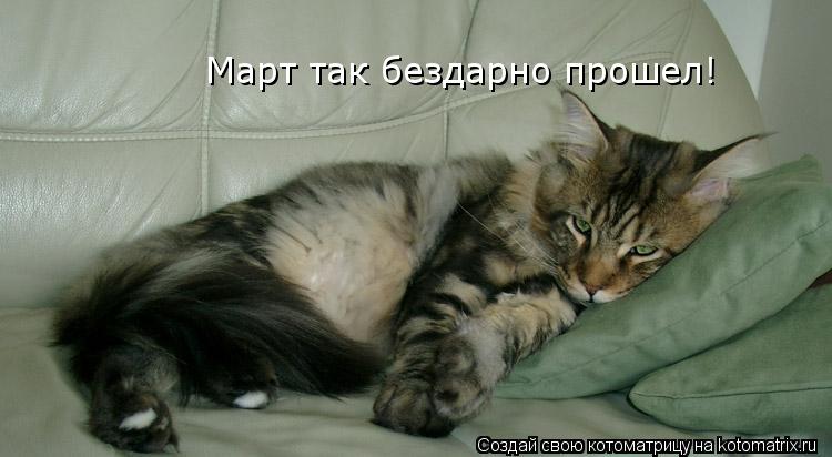 Март так бездарно прошел!... Котоматрица: Март так бездарно прошел!