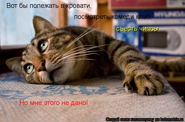 Вот бы полежать в кровати, посмотреть комеди клаб, съесть чипсы, Но мне,этого не дано!... Котоматрица: Вот бы полежать в кровати, посмотреть комеди клаб, съесть чипсы, Но мне,этого не дано!