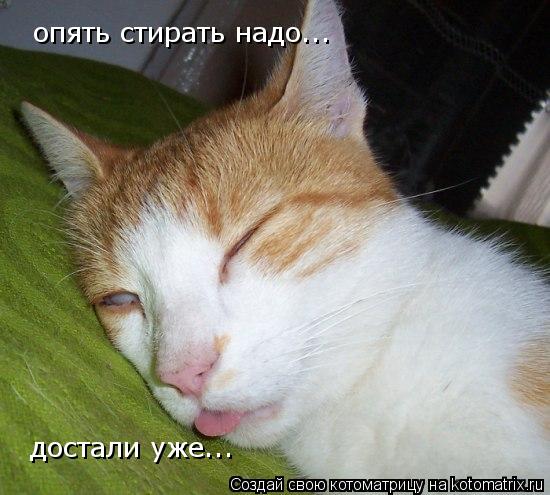 опять стирать надо... опять стирать надо... достали уже...... Котоматрица: опять стирать надо... опять стирать надо... достали уже...