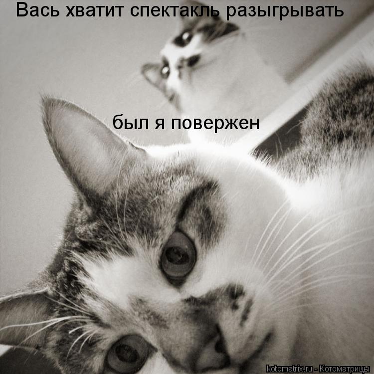 был я повержен был я повержен Вась хватит спектакль разыгрывать... Котоматрица: был я повержен был я повержен Вась хватит спектакль разыгрывать