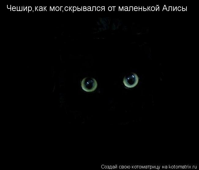 Чешир,как мог,скрывался от маленькой Алисы... Котоматрица: Чешир,как мог,скрывался от маленькой Алисы