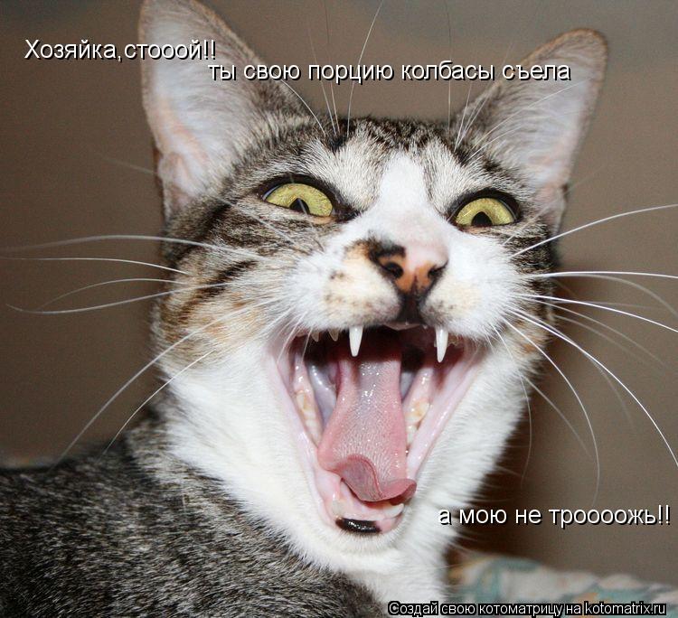 Хозяйка,стооой!! ты свою порцию колбасы съела а мою не троооожь!!... Котоматрица: Хозяйка,стооой!! ты свою порцию колбасы съела а мою не троооожь!!