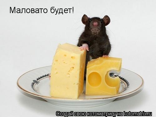 Маловато будет!... Котоматрица: Маловато будет!