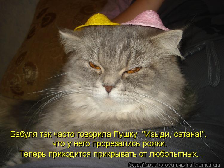 Бабуля так часто говорила Пушку "Изыди, сатана!", что у него прорезались рожки. Теперь приходится п... Котоматрица: Бабуля так часто говорила Пушку "Изыди, сатана!", что у него прорезались рожки. Теперь приходится прикрывать от любопытных...
