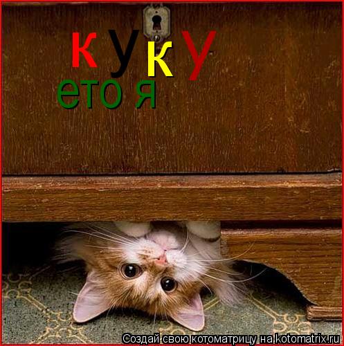 к у к у ето я... Котоматрица: к у к у ето я