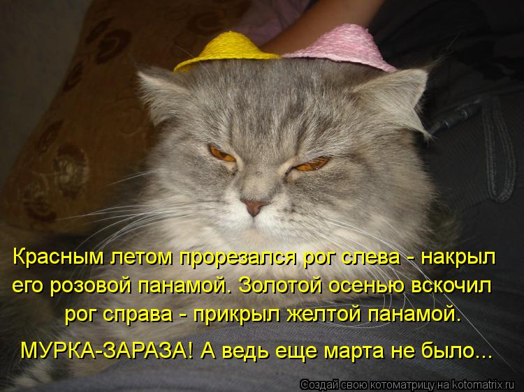 Красным летом прорезался рог слева - накрыл его розовой панамой. Золотой осенью вскочил рог справа ... Котоматрица: Красным летом прорезался рог слева - накрыл его розовой панамой. Золотой осенью вскочил рог справа - прикрыл желтой панамой. МУРКА-ЗАРАЗА!