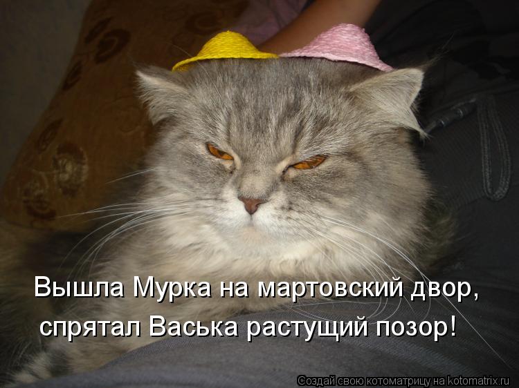 Вышла Мурка на мартовский двор, спрятал Васька растущий позор!... Котоматрица: Вышла Мурка на мартовский двор, спрятал Васька растущий позор!