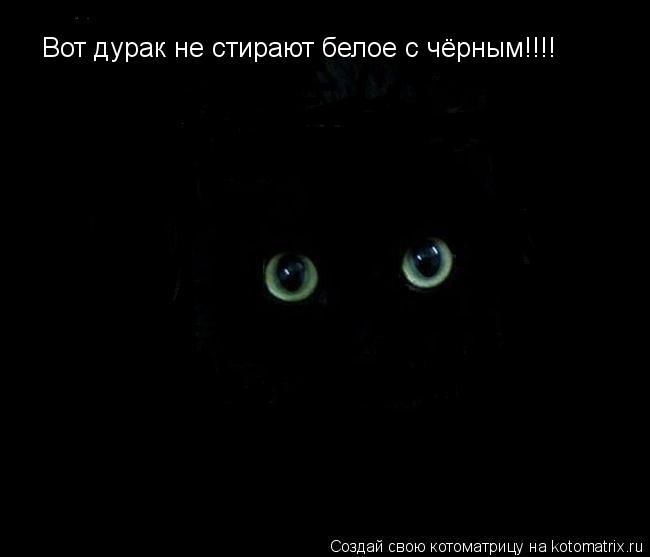 Вот дурак не стирают белое с чёрным!!!!... Котоматрица: Вот дурак не стирают белое с чёрным!!!!