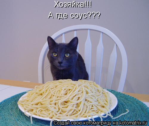 Хозяйка!!! А где соус???... Котоматрица: Хозяйка!!! А где соус???