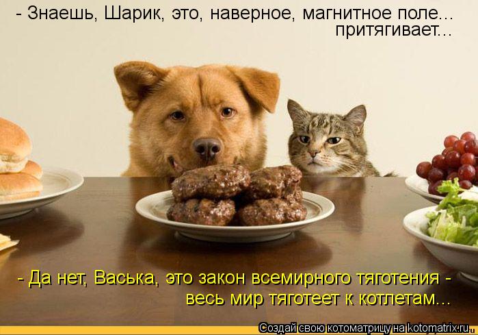 - Знаешь, Шарик, это, наверное, магнитное поле... притягивает... - Да нет, Васька, это закон всемирно... Котоматрица: - Знаешь, Шарик, это, наверное, магнитное поле... притягивает... - Да нет, Васька, это закон всемирного тяготения - весь мир тяготеет к котлетам..