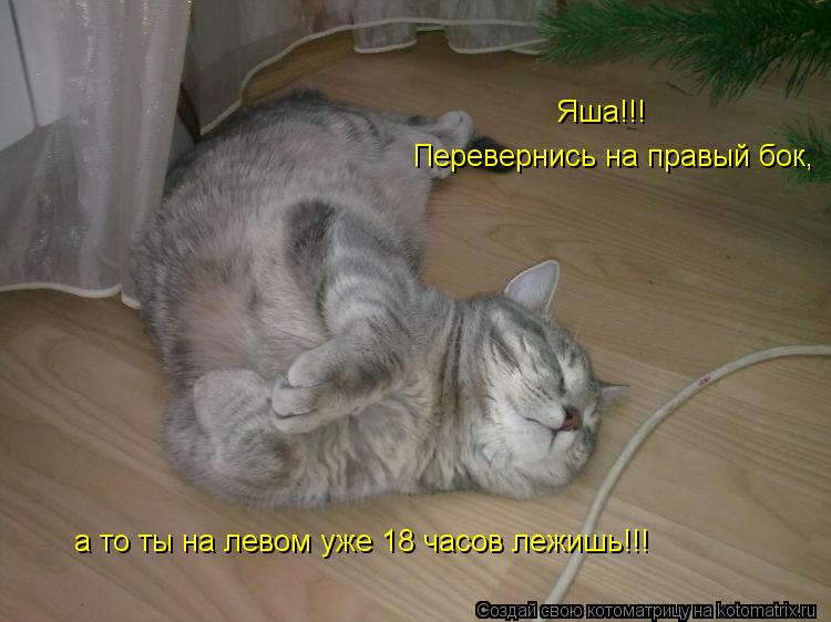 Яша!!! Перевернись на правый бок, а то ты на левом уже 18 часов лежишь!!!... Котоматрица: Яша!!! Перевернись на правый бок, а то ты на левом уже 18 часов лежишь!!!