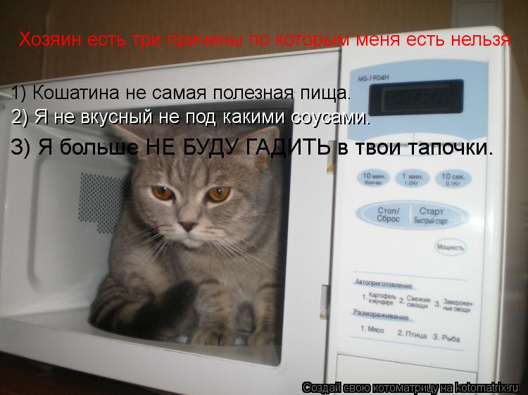 Хозяин есть три причины по которым меня есть нельзя 1) Кошатина не самая полезная пища. 2) Я не вкусн... Котоматрица: Хозяин есть три причины по которым меня есть нельзя 1) Кошатина не самая полезная пища. 2) Я не вкусный не под какими соусами. 3) Я больше НЕ БУД