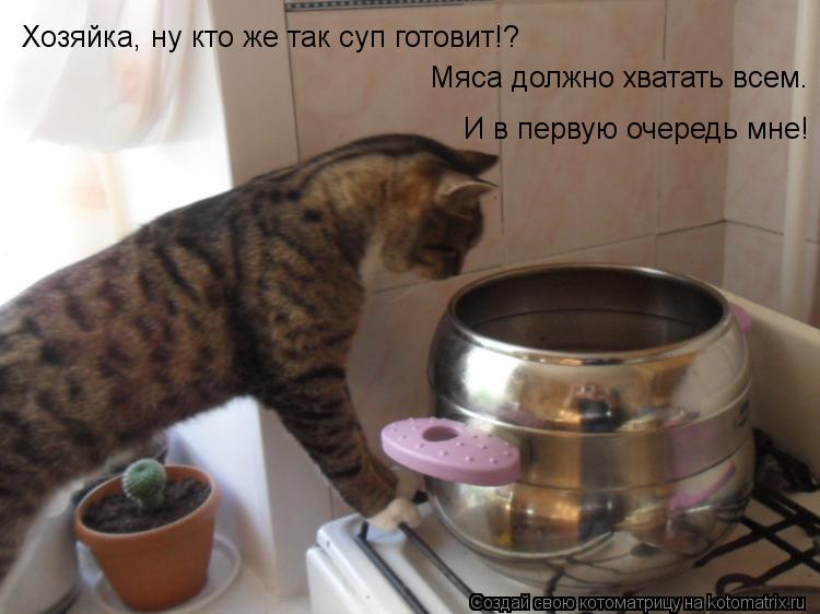 Хозяйка, ну кто же так суп готовит!? Мяса должно хватать всем. И в первую очередь мне!... Котоматрица: Хозяйка, ну кто же так суп готовит!? Мяса должно хватать всем. И в первую очередь мне!