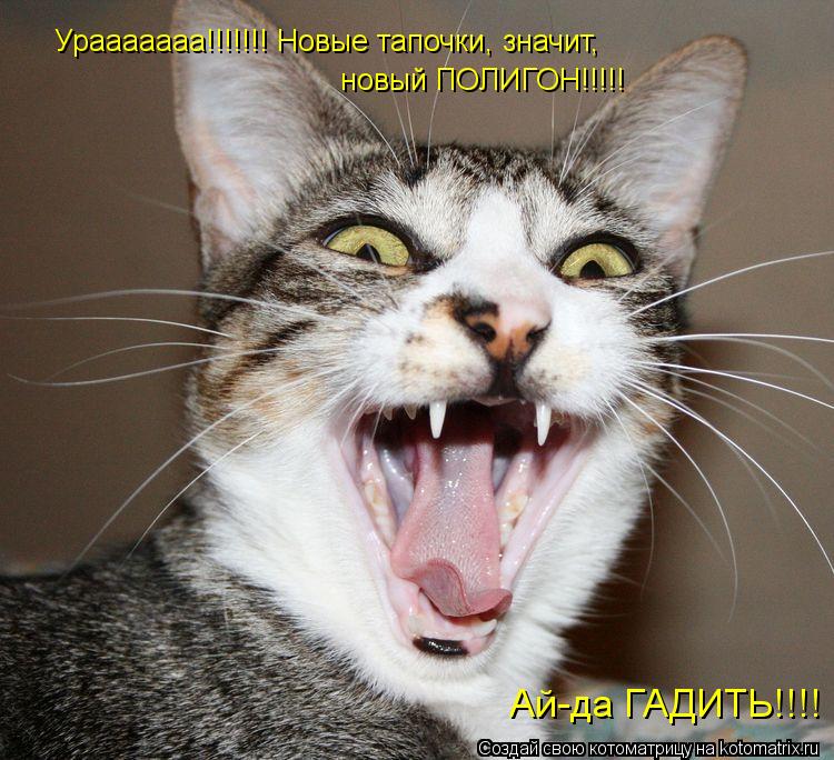 Урааааааа!!!!!!! Новые тапочки, значит, новый ПОЛИГОН!!!!! Ай-да ГАДИТЬ!!!!... Котоматрица: Урааааааа!!!!!!! Новые тапочки, значит, новый ПОЛИГОН!!!!! Ай-да ГАДИТЬ!!!!
