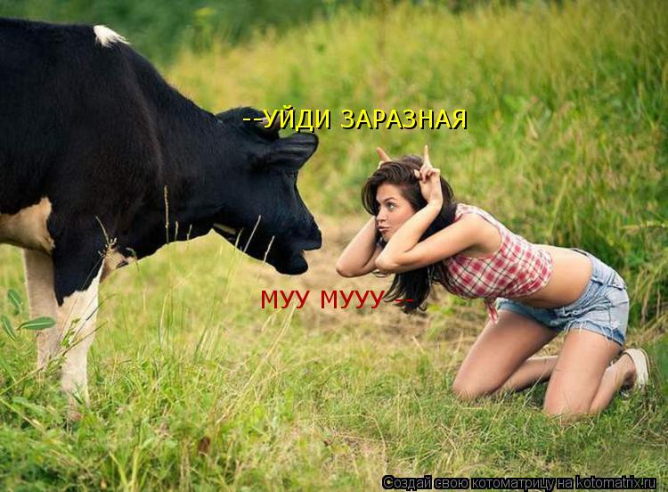 МУУ МУУУ -- --УЙДИ ЗАРАЗНАЯ... Котоматрица: МУУ МУУУ -- --УЙДИ ЗАРАЗНАЯ
