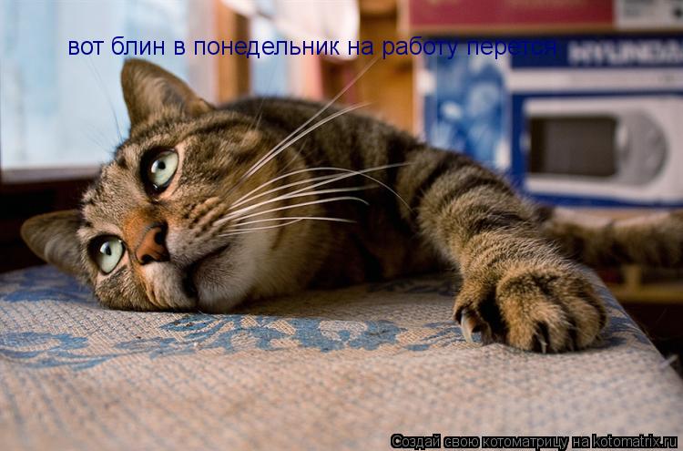вот блин в понедельник на работу перется вот блин в понедельник на работу перется... Котоматрица: вот блин в понедельник на работу перется вот блин в понедельник на работу перется