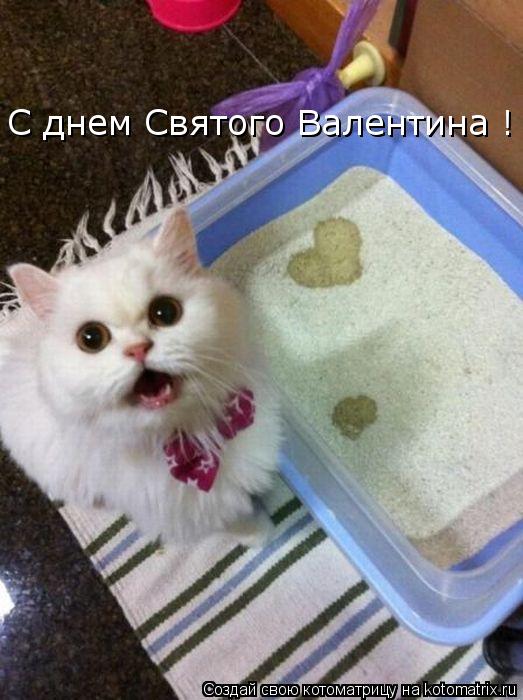 С днем Святого Валентина !... Котоматрица: С днем Святого Валентина !