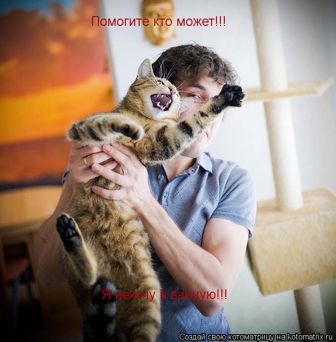 Помогите кто может!!! Я нехочу в ванную!!!... Котоматрица: Помогите кто может!!! Я нехочу в ванную!!!