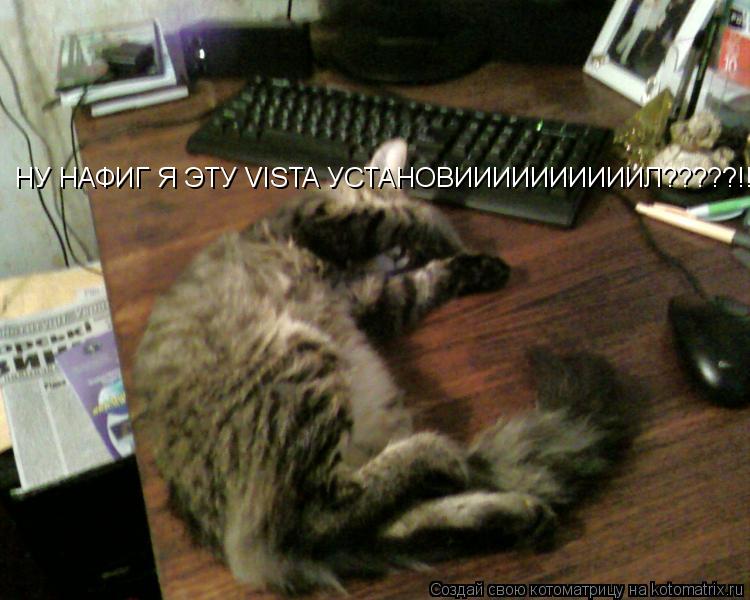 НУ НАФИГ Я ЭТУ VISTA УСТАНОВИИИИИИИИИИЛ?????!!!!!... Котоматрица: НУ НАФИГ Я ЭТУ VISTA УСТАНОВИИИИИИИИИИЛ?????!!!!!