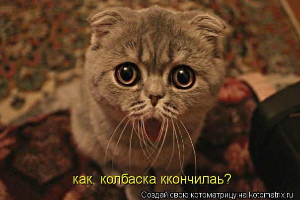 как, колбаска ккончилаь?... Котоматрица: как, колбаска ккончилаь?