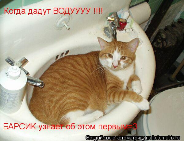 Когда дадут ВОДУУУУ !!!! БАРСИК узнает об этом первым=3... Котоматрица: Когда дадут ВОДУУУУ !!!! БАРСИК узнает об этом первым=3
