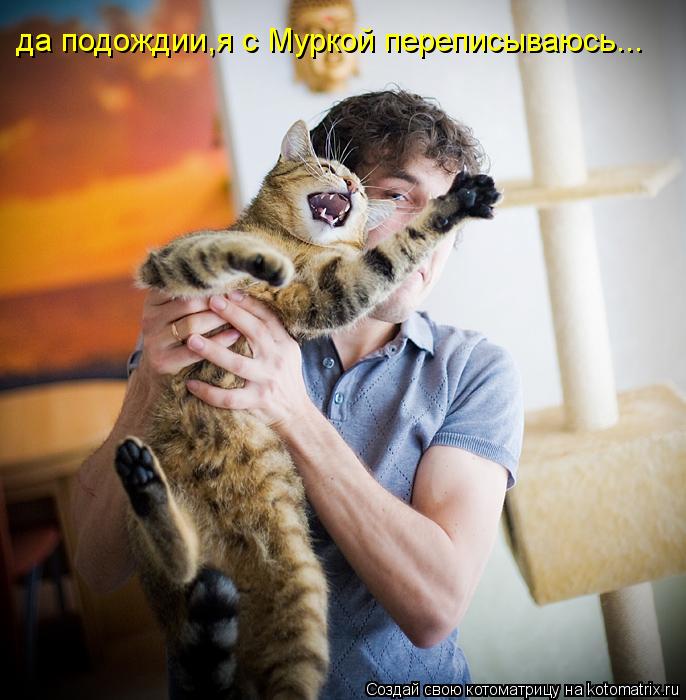да подождии,я с Муркой переписываюююю да подождии,я с Муркой переписываюсь...... Котоматрица: да подождии,я с Муркой переписываюююю да подождии,я с Муркой переписываюсь...