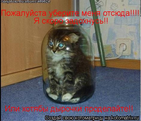 Пожалуйста уберите меня отсюда!!!! Я скоро задохнусь!! Или хотябы дырочки проделайте!!... Котоматрица: Пожалуйста уберите меня отсюда!!!! Я скоро задохнусь!! Или хотябы дырочки проделайте!!