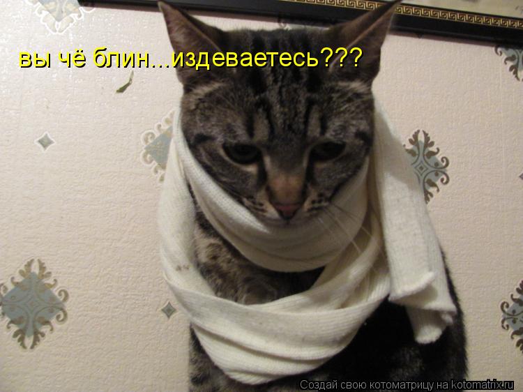 вы чё блин...издеваетесь???... Котоматрица: вы чё блин...издеваетесь???
