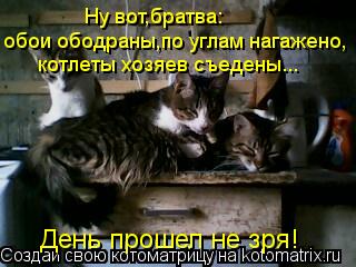 Ну вот,братва: обои ободраны,по углам нагажено, котлеты хозяев съедены... День прошел не зря!... Котоматрица: Ну вот,братва: обои ободраны,по углам нагажено, котлеты хозяев съедены... День прошел не зря!