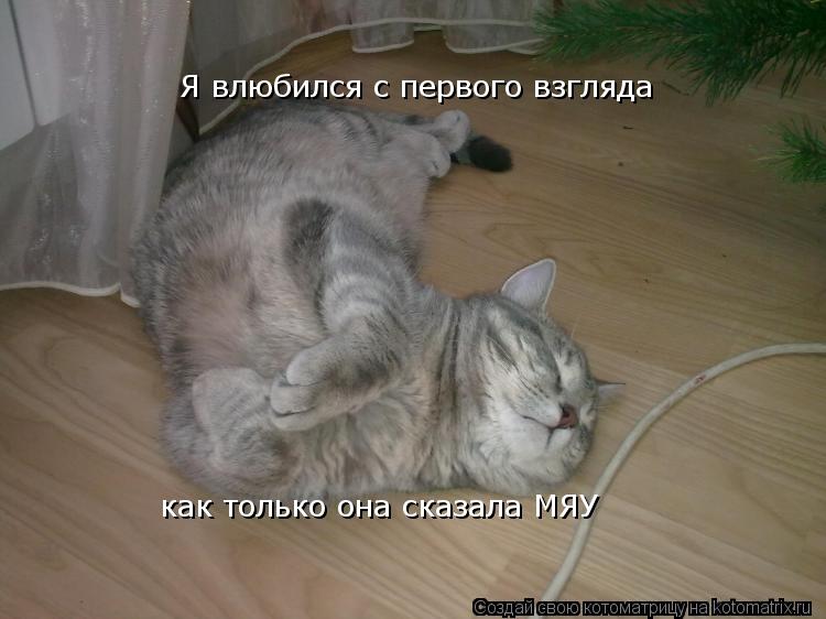 Я влюбился с первого взгляда как только она сказала МЯУ... Котоматрица: Я влюбился с первого взгляда как только она сказала МЯУ