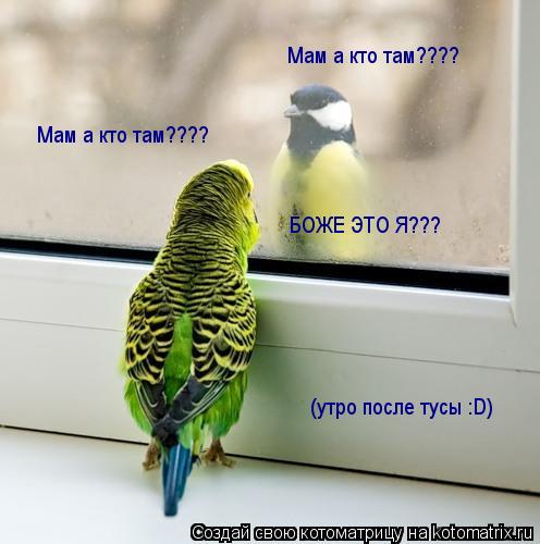 Мам а кто там???? Мам а кто там???? БОЖЕ ЭТО Я??? (утро после тусы :D)... Котоматрица: Мам а кто там???? Мам а кто там???? БОЖЕ ЭТО Я??? (утро после тусы :D)