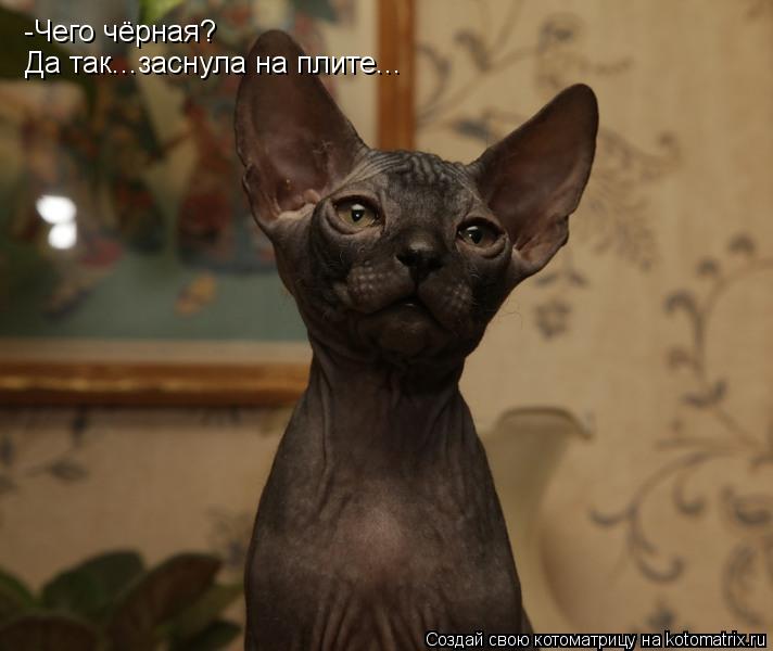 -Чего чёрная? Да так...заснула на плите...... Котоматрица: -Чего чёрная? Да так...заснула на плите...