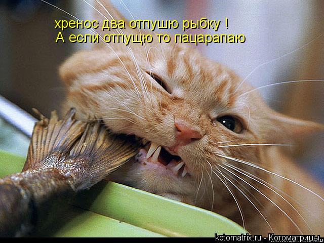 хренос два отпушю рыбку ! Аесли отпушю то пацарапою хренос два отпушю рыбку ! А если отпущю то паца... Котоматрица: хренос два отпушю рыбку ! Аесли отпушю то пацарапою хренос два отпушю рыбку ! А если отпущю то пацарапаю А если отпущю то пацарапаю