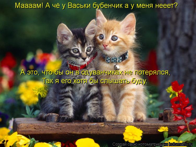 Маааам! А чё у Васьки бубенчик а у меня нееет? А это, что бы он в одуванчиках не потерялся, Так я ег... Котоматрица: Маааам! А чё у Васьки бубенчик а у меня нееет? А это, что бы он в одуванчиках не потерялся, Так я его хотя бы слышать буду.