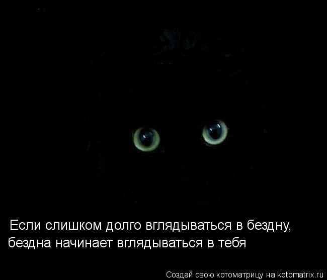 Если слишком долго вглядываться в бездну, бездна начинает вглядываться в тебя... Котоматрица: Если слишком долго вглядываться в бездну, бездна начинает вглядываться в тебя