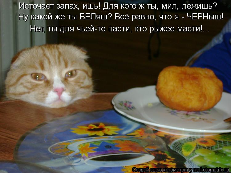 Источает запах, ишь! Для кого ж ты, мил, лежишь? Ну какой же ты БЕЛяш? Всё равно, что я - ЧЕРНыш! Не... Котоматрица: Источает запах, ишь! Для кого ж ты, мил, лежишь? Ну какой же ты БЕЛяш? Всё равно, что я - ЧЕРНыш! Нет, ты для чьей-то пасти, кто рыжее масти!...