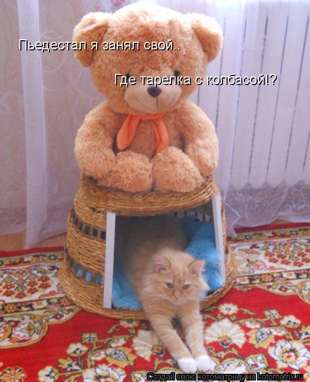 Где тарелка с колбасой!? Пьедестал я занял свой..... Котоматрица: Где тарелка с колбасой!? Пьедестал я занял свой..