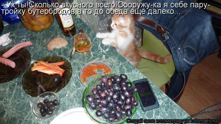 Котоматрица: --Ух ты!Сколько вкусного всего!Сооружу-ка я себе пару- тройку бутербродов,а то до обеда ещё далеко...