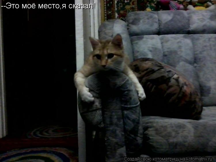 Котоматрица: --Это моё место,я сказал!