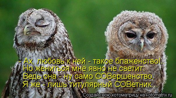 - Ах, любовь к ней - такое блаженство!.. Но жениться мне явно не светит: Ведь она - ну само СОВершенс... Котоматрица: - Ах, любовь к ней - такое блаженство!.. Но жениться мне явно не светит: Ведь она - ну само СОВершенство, Я же - лишь титулярный СОВетник...