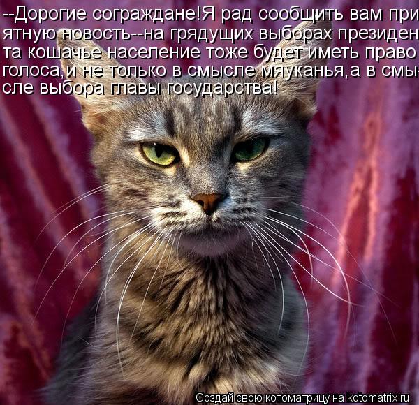 Котоматрица: --Дорогие сограждане!Я рад сообщить вам при- ятную новость--на грядущих выборах президен- та кошачье население тоже будет иметь право голоса
