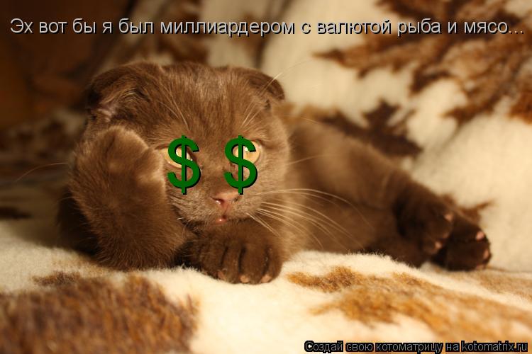 Котоматрица: Эх вот бы я был миллиардером с валютой рыба и мясо... $ $