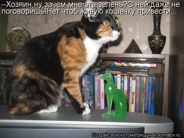 Котоматрица: --Хозяин,ну зачем мне эта зелень?С ней даже не поговоришь!Нет чтоб живую кошечку привести...