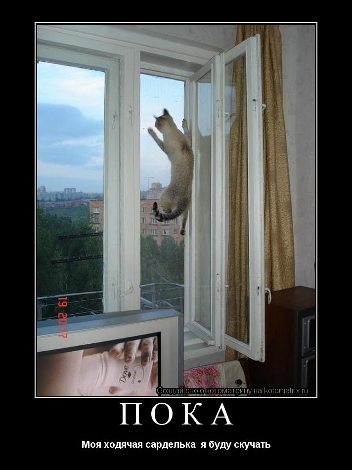 Пока Моя ходячая сарделька я буду скучать... Котоматрица: Пока Моя ходячая сарделька я буду скучать