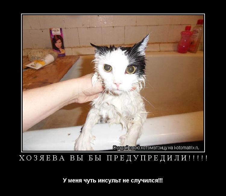 Хозяева вы бы предупредили!!!!! У меня чуть инсульт не случился!!!... Котоматрица: Хозяева вы бы предупредили!!!!! У меня чуть инсульт не случился!!!
